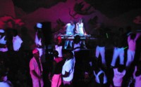 DJs_and_Crowd