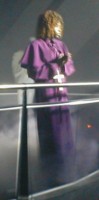Purple_Monk_001