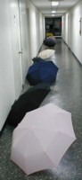 WENT_Umbrella_Convention.jpg
18.86 KB 

